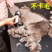 Kitty special shave safety muted charging push cut to dog shave Teddy Teddy Mausamo haircut