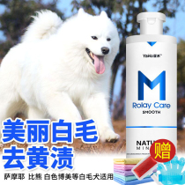 Dog body wash with white hair special white bombeza Moyer Bibear mites remove bacteria to yellow stains for a fragrant bath