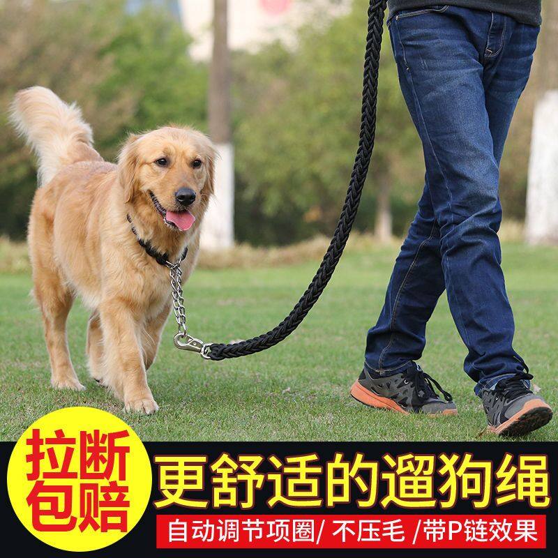 Labrador gold fur pooch traction rope Medium large canine dog Dog God Instrumental Dog Rope Dog Necklace P Chain Neckline
