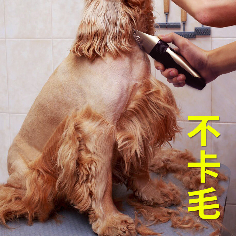 Pet shaving machine pooch professional electric pushy cut teddy kitty electric push cut and cut dog hair swoon hair hairdresser