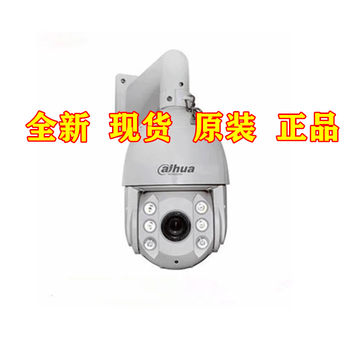 Dahua 2 million 6-inch 32x ball machine