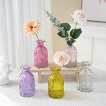 Color Striped Nordic Ins Wind Small transparent glass vase Desktop Living room Tulip Tulip Rose Flower Arrangement Pendulum