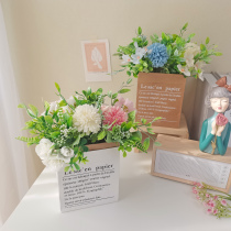 647ins Wind Rose Emulation Flower Suit Indoor home Decorative Sample Board Room bedroom Living room Placed Photo props