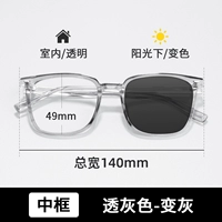 [Средняя кадра] рама дракона+анти -беглый свет преобразован пепел [анти -Blue/Anti -UV употребление]