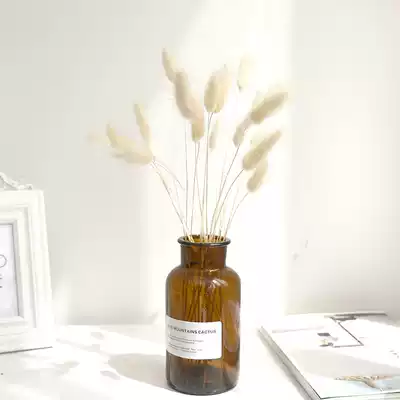 Rabbit tail grass dried flower Home furnishings small fresh ins Nordic wind starry dried flower dog tail grass yunnan flower arrangement