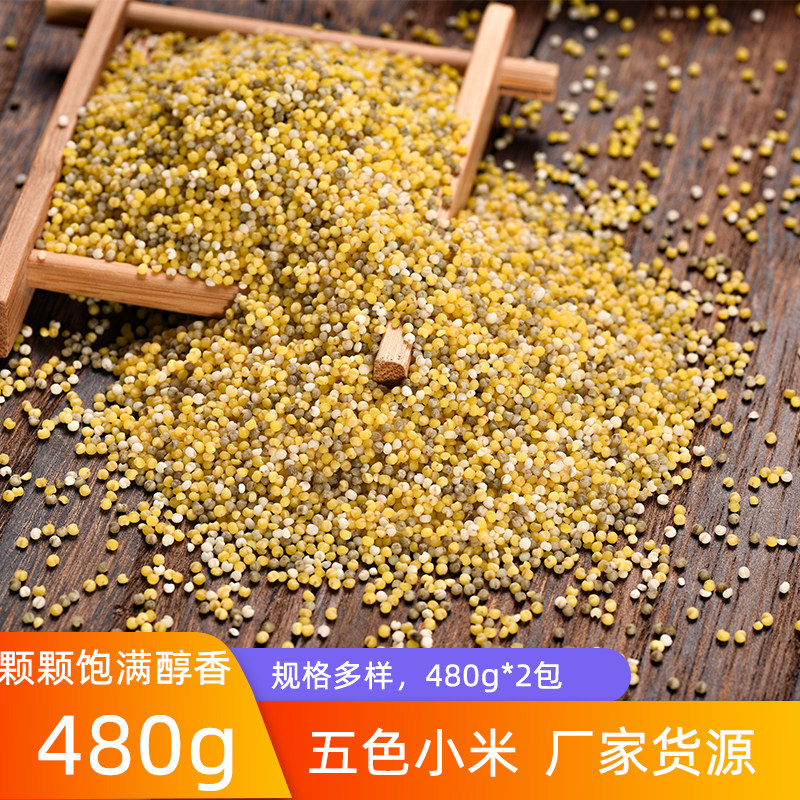 Grain Yuan five-color millet 480g*2 package