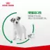 Thức ăn cho chó Trung Quốc Phiếu giảm giá Thức ăn cho chó cao cấp Thức ăn cho chó 2kg Chó nhỏ Teddy Bichon VIP General Thức ăn chủ yếu cho chó cưng - Chó Staples