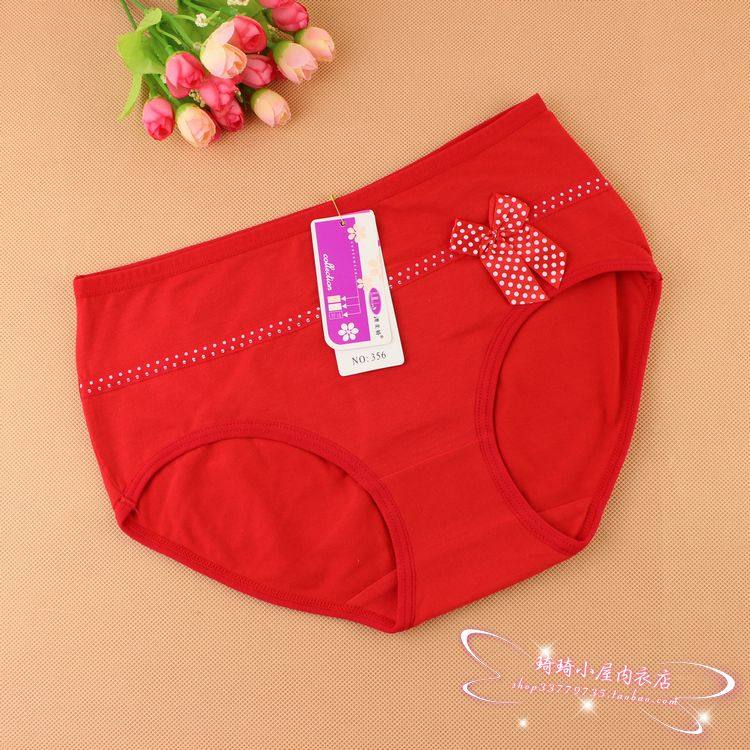 Slip simple en coton - Ref 646918 Image 10