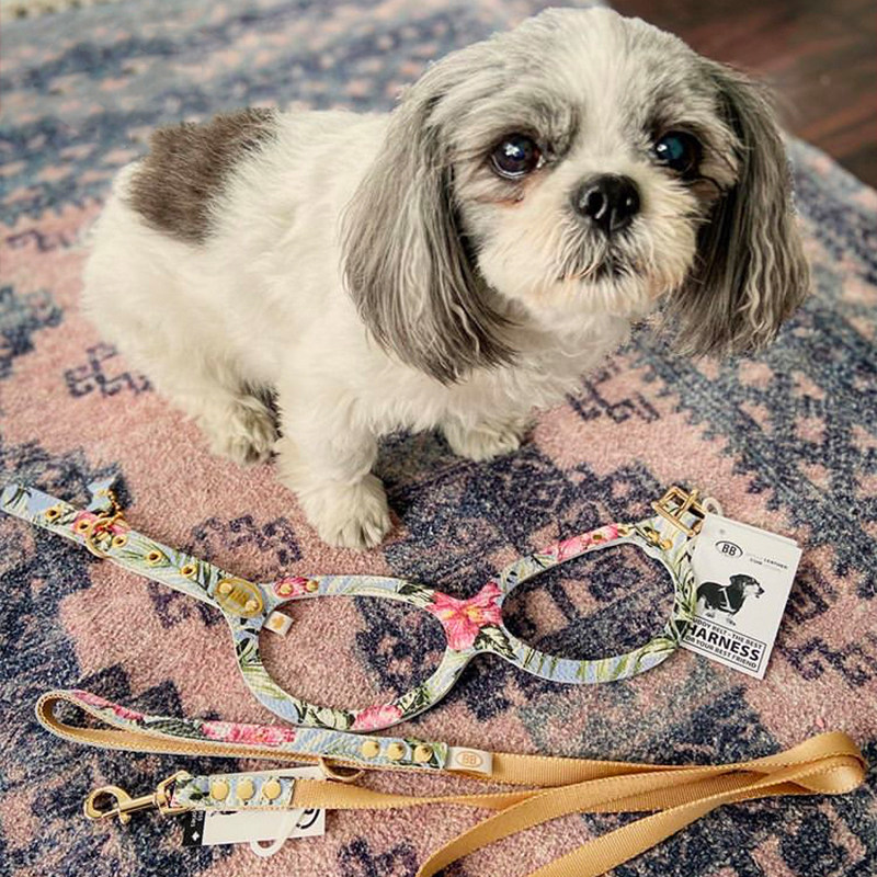 BuddyBelts Canadian BB chest Bahamas Out Limited Spot Limited Limited Limited Limited Limited Pet Vest Traction