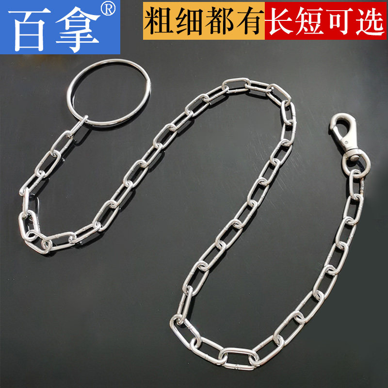 Metal Dog Necklace Gold Wool Stainless Steel Tether Dog Rope Dod home tethered dog chain Large Traction Rope Mound