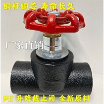 PE lift type stop valve PPR lift stop valve gray circlip type PE20 PE25 pipe valve