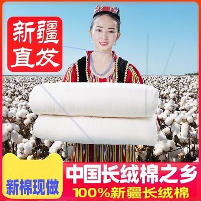 Xinjiang cotton quilt pure cotton spring and autumn quilt cotton quilt quilt core four seasons cotton tire 8 9 10 11 12 13 catties