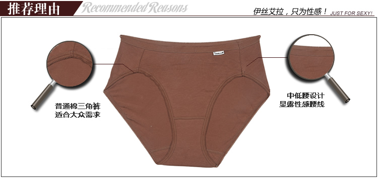 Slip YISELLE en coton - Ref 667827 Image 8