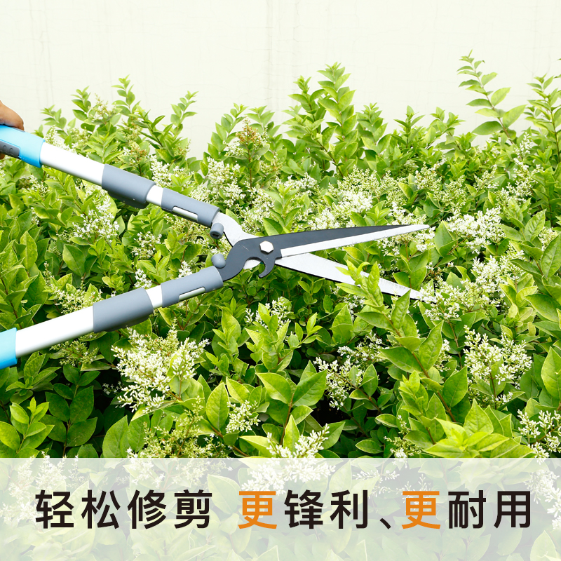 Scissors pruning branches, flowers, grass, hedge shears, gardening lawn shears, landscaping tools, strong rough branches, large scissors