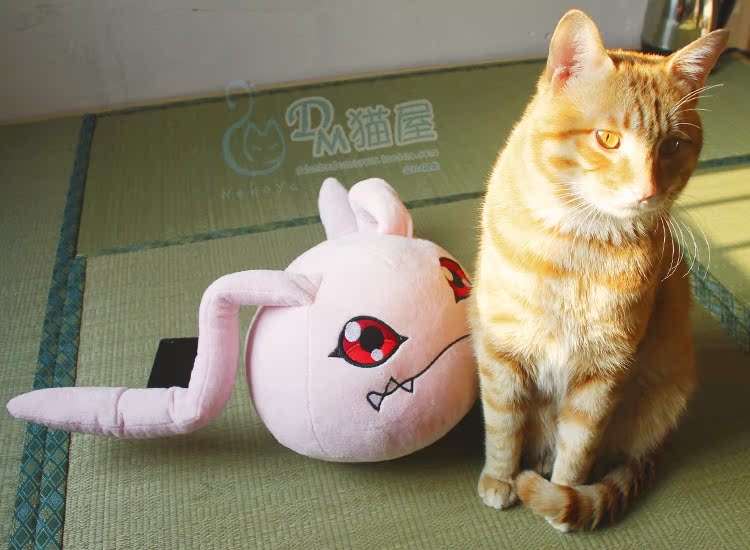 Peluche manga DM   en peluche Digimon - Ref 2695156 Image 23