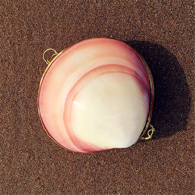 Sea Snail Shell Craft Gift Swing Accessories Open Phnom Penh Pink Clams 7-8CM First Accessories Box Toy Gift Home Swing Accessories