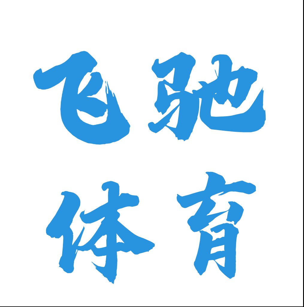 飞驰体育器材
