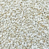 Safflower seeds Safflower seeds white melon seeds Hamster parrot pigeon food Parrot bird food pigeon food 5 pounds