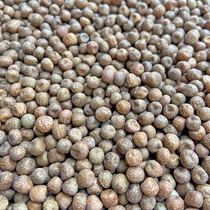 Pigeon food Imported maple beans hemp beans pigeon food pea pigeon food carrier pigeon feed ornamental pigeon pigeon feed 5 pounds