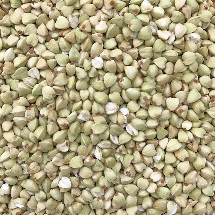 Dove grain feed raw buckwheat buckwheat kernel parrot bird food hamster with zero food racing pigeon to watch pigeon grain 5 kilos