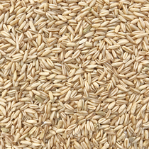 Oatmeal parrot bird food pigeon feed pigeon ornamental pigeon one piece of pigeon One Piece = 5kg