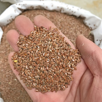 Pigeon grain brown flax seed red flax seed black flax seed pigeon racing pigeon love to eat 500g Golden Feather pigeon grain