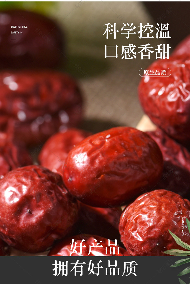 Jujube_05.jpg