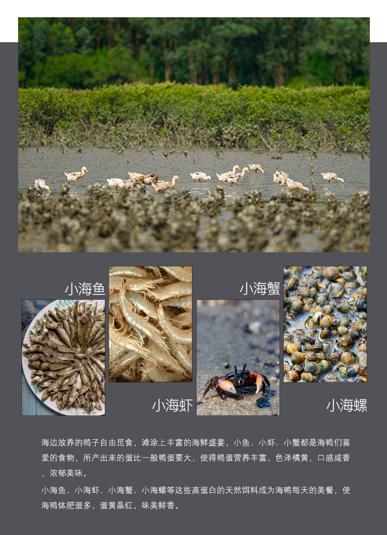 三客游 生态散养特大烤海鸭蛋 70g*20个 个个流油 图5