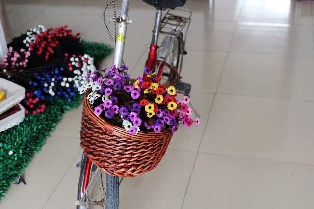 Panier pour vélo en vigne - Ref 2258059 Image 33