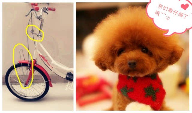 Panier pour vélo en vigne - Ref 2257523 Image 21