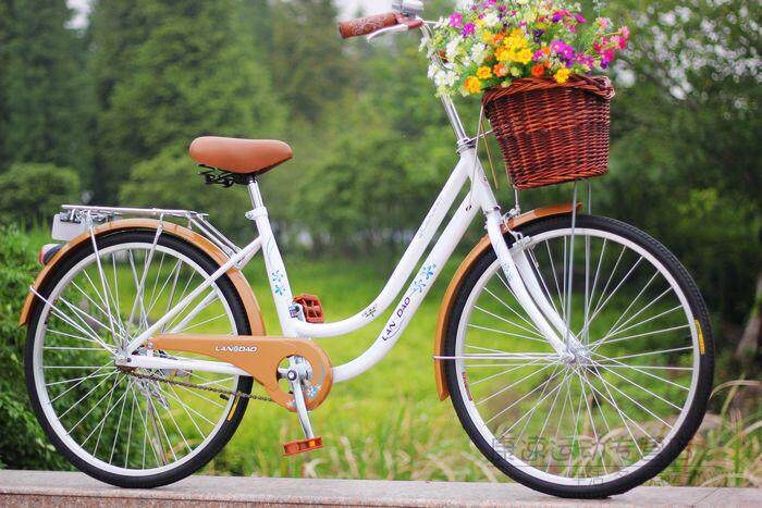 Panier pour vélo en vigne - Ref 2257523 Image 39