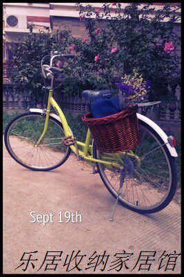 Panier pour vélo en vigne - Ref 2257523 Image 47