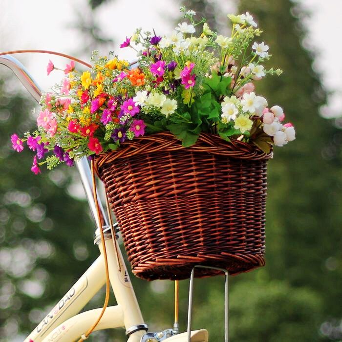 Panier pour vélo en vigne - Ref 2257523 Image 42