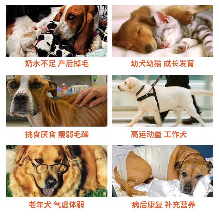 RedDog Red Dog Dinh dưỡng Kem Puppy Cat Puppy Dog Teddy Golden Retriever Pet Phân bón Dinh dưỡng Kem cao Dinh dưỡng - Cat / Dog Health bổ sung sữa mèo