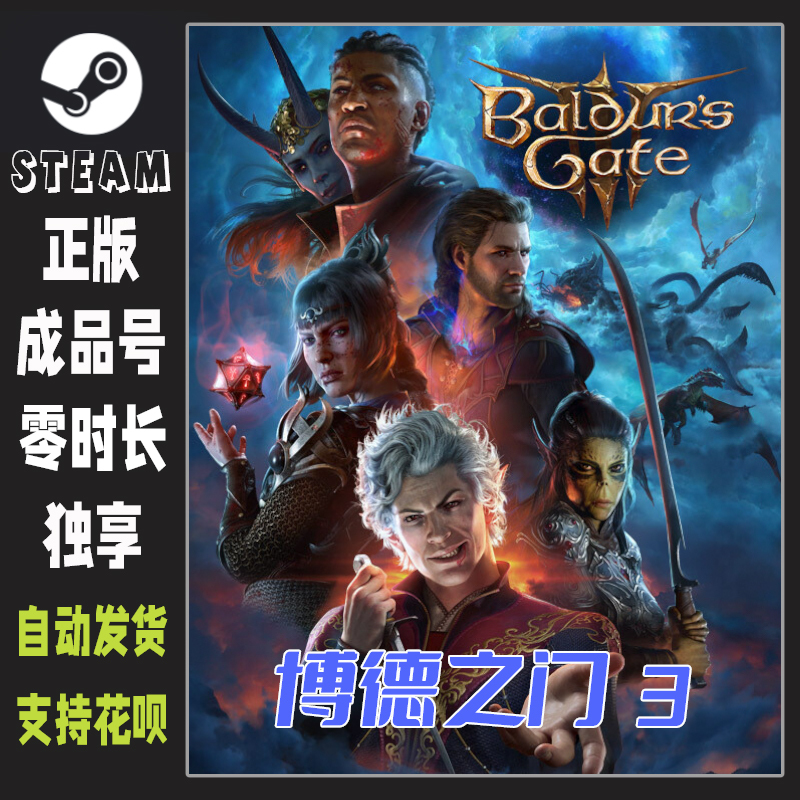 Baldur's Gate 3 Steam Genuine Chinese Game Gift/Product Code White Code