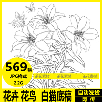 Flowers flowers and birds White drawing meticulous painting Chinese painting high-definition pictures electronic version line drawing practice materials