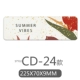 Модель CD-24 (225*70*9 мм)