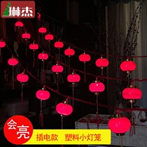 Linjie New Year luminous belt lamp decoration small lantern wedding celebration indoor plastic hanging decoration flocking lantern