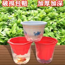 Lazy flower pot automatic absorbent plastic transparent planting self-absorbent bonsai household flower artifact planting Indoor