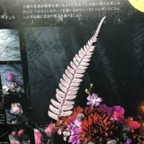 Eternal Life Flower DIY Стеклянная покровная ферма импортированная ферма INS перелома.