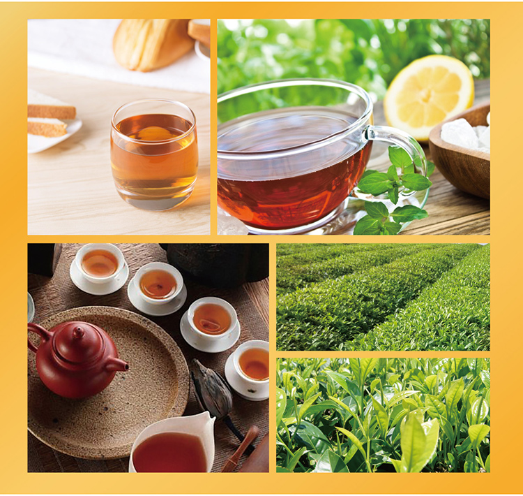 康师傅 冰红茶茉莉蜜绿茶12瓶*330 图5