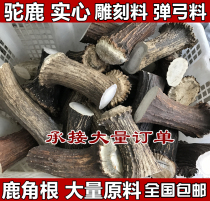 Solid antler section middle section raw material camel antler horn carving handle seal material slingshot material grinding tooth Rod origin Tieling