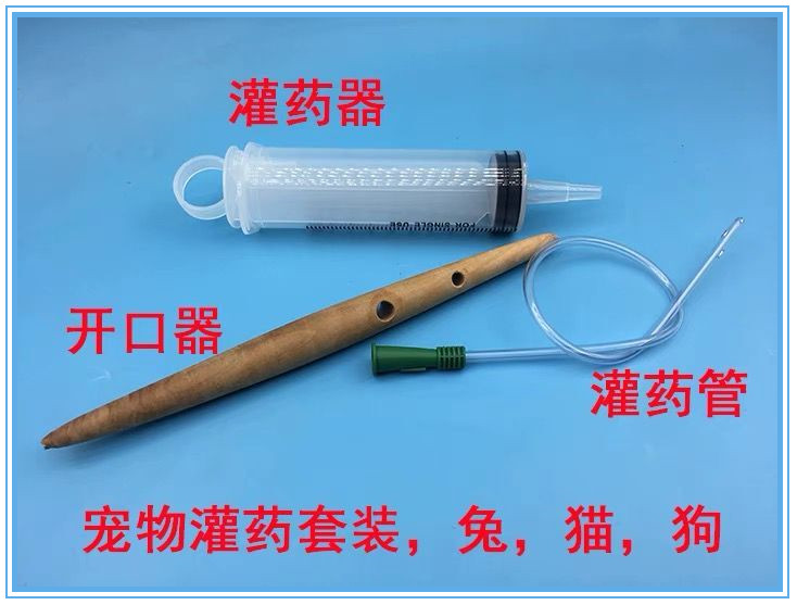 兔子灌胃管 家兔灌胃器 兔子灌药器 猫狗兔子灌胃套装 小动物灌胃