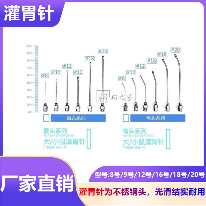大小鼠不锈钢头灌胃针 6号7号8号9号12号16号18号 老鼠灌胃器 管