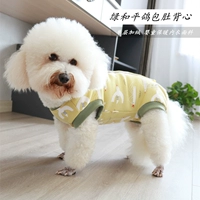 Зеленый голубиный живот Vallest (PLEL)