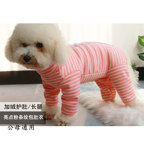 Осень и зимняя плюшевая собака Bichon Bear с бархатной четвероногой одеждой суки