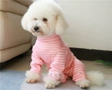 Осень и зимняя плюшевая собака Bichon Bear с бархатной четвероногой одеждой суки