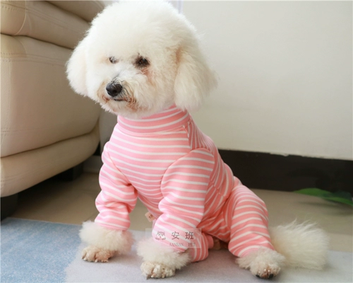 Осень и зимняя плюшевая собака Bichon Bear с бархатной четвероногой одеждой суки