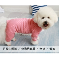 Физиологичные хлопковые тонкие штаны, защитный эластичный лонгслив