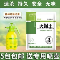 Fly Medicine Home Killing Mosquito Fly Medicinal Powder Shenzer A sweeping hotel farm Fly Killing King Insecticide is long and odorless